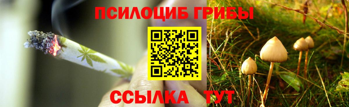 Псилоцибиновые грибы мицелий  Галлюциногенные грибы мицелий  Вход с VPN  Белая Калитва 